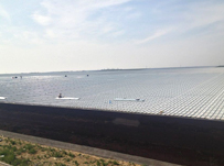 山東高密金太陽項(xiàng)目